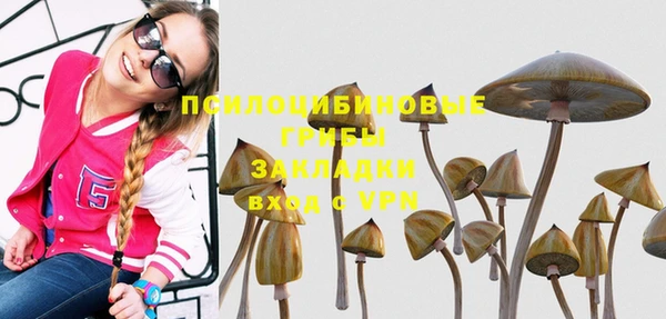 первитин Алексин